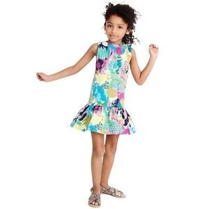 Crewcuts Multicolored Drop Waist Dress Size 14 Girls